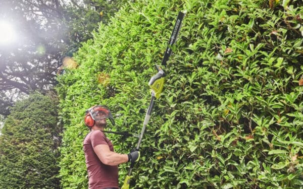 Man med hjälm och hörselskydd står vid en stor grön häck och håller i en stånghäcksax RY36PHT50A-0 från Ryobi