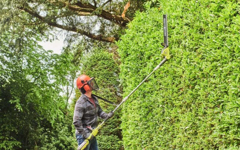 Man med hjälm och hörselskydd står vid en stor grön häck och håller i en stånghäcksax RY36PHT50A-0 från Ryobi. I bakgrunden synd träd